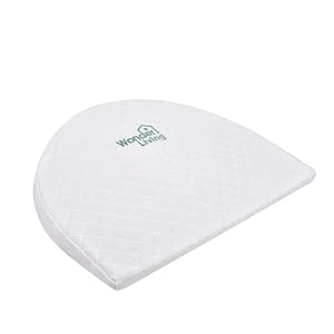 Generic Pillow