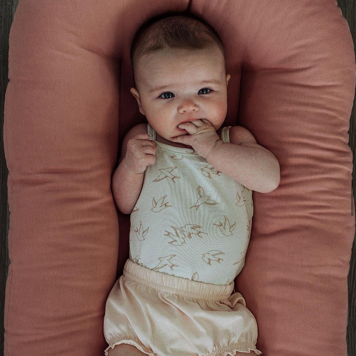 Baby lying in a Gumdrop pink lounger with hand in mouth, top view